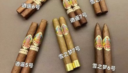 2026黄鹤楼雪茄全系列价格表：雪之梦/雪之景/逍遥全收录，15元到2600元一盒速查